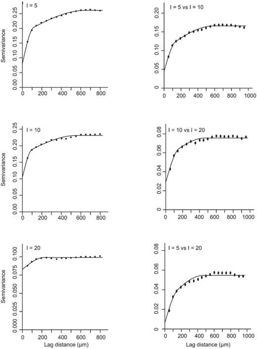 Example of indicator semivariograms (left) and cross-semivariograms (right) for bacterial density in a cropped topsoil sample, suggesting the presence of gradients. Threshold values (I) are indicated in graphs.