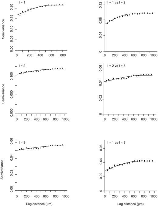 Example of indicator semivariograms (left) and cross-semivariograms (right) for bacterial density in a subsoil sample, suggesting a mosaic pattern of high and low bacterial density values. Threshold values (I) are indicated in graphs.