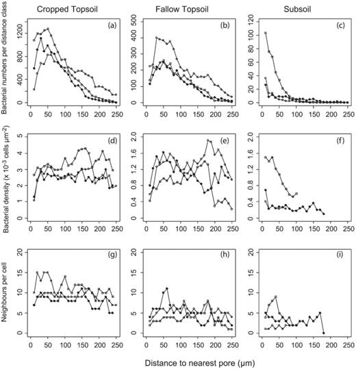 Bacterial numbers per distance class (a–c), bacterial density (d–f), and average number of neighbours per bacterial cell (g–i) as a function of distance to nearest pore. Bacterial density and neighbour numbers were not calculated at distances where there were no bacteria. Different symbols represent different samples. Note difference in scale of y-axes in panels a–f.