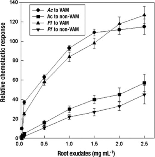 Relative chemotactic responses of bacteria to varying concentrations of root exudates (rehydrated after freezing in 10 mM phosphate buffer, pH 6.8). Mean values±S.E.M. from five replicates are indicated. Relative chemotactic response is the ratio of colony-forming units of the treatment to that of the control (capillaries were filled with 10 mM phosphate buffer). The assay time was 60 min. Ac: A. chroococcum, Pf: P. fluorescens.