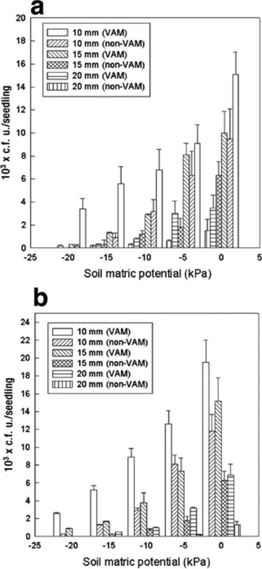 Chemotactic response of (a) A. chroococcum and (b) P. fluorescens towards VAM and non-VAM roots when kept at different distances from tomato seedlings at different soil matric potentials. Mean values±S.E.M. from five replicates are indicated. The assay time was 60 min. Ac: A. chroococcum, Pf: P. fluorescens.