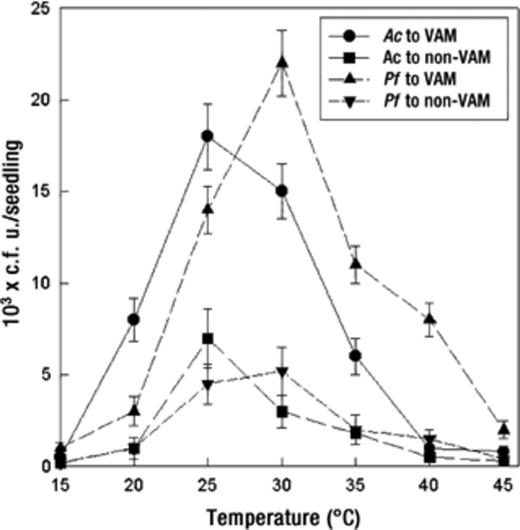 Effect of temperature on bacterial chemotactic response towards VAM and non-VAM roots of tomato seedlings. Mean values±S.E.M. from five replicates are indicated. Assays were done for 60 min. Ac: A. chroococcum, Pf: P. fluorescens.
