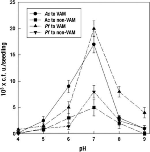 Effect of pH on bacterial chemotactic response towards VAM and non-VAM roots of mycorrhizal tomato seedlings. Mean values±S.E.M. from five replicates are indicated. Assays were done for 60 min. Ac: A. chroococcum, Pf: P. fluorescens.