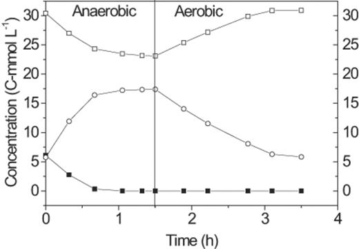 Carbon transformations of a typical anaerobic–aerobic cycle of the GAO-enriched SBR: hydrolysable carbohydrate (◻), PHAs (○), and acetate (▪).
