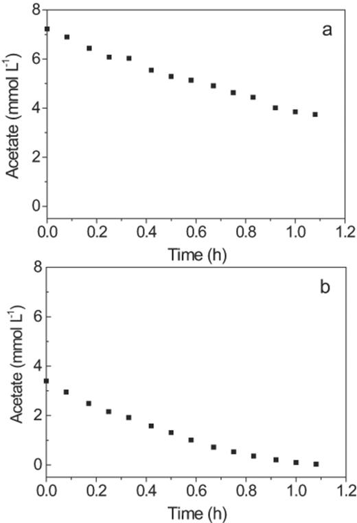 Batch tests for acetate uptake by the GAO-enriched sludge with initial concentrations of (a) 6.28 mmol l−1 and (b) 3.14 mmol l−1.