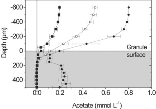 Acetate microsensor profiles measured at bulk liquid acetate concentrations of 0.2 (▪), 0.5 (○), 0.8 (●) mmol l−1. Error bars=S.D.