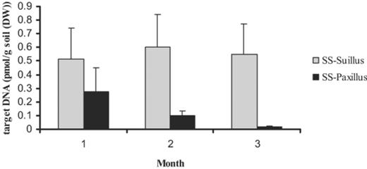 Concentrations of target DNA in the potting mixture over 3 months for the two SS treatments, as determined by LightCycler analysis. Error bars indicate ±S.E.M., n=3.
