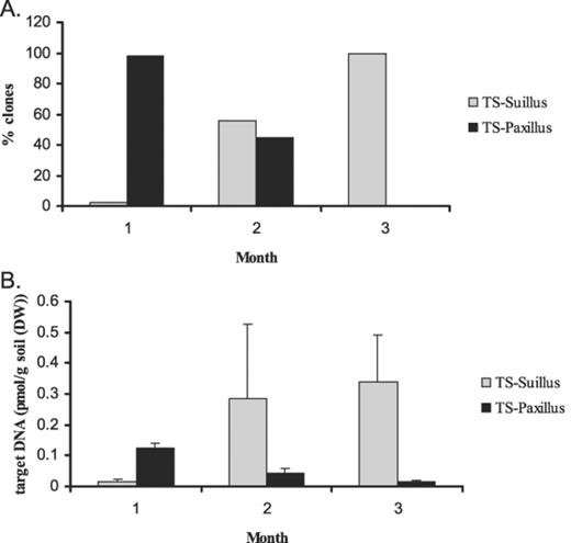 Concentrations of target Suillus and Paxillus DNA in the potting mixture over 3 months for the TS treatment, as determined by (A) clone counts and (B) LightCycler analysis. Error bars indicate ±S.E.M., n=3.