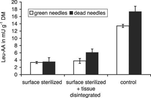 Leucine arylamidase activity (leu-AA) in washings of green needles from the canopy of P. sylvestris and dead needles from the litter layer that were surface-sterilized, surface-sterilized and tissue-disintegrated with pestle and mortar and not treated (control). Each column is the mean of two independent trials. Error bars show the highest and lowest values.