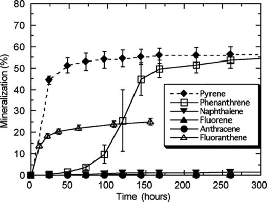 Time course for mineralization of various PAHs by Mycobacterium sp. strain S65. Strain S65 was pre-grown in a low nutrient broth to the mid-log phase and the culture was washed with MSM, to remove residual nutrients, prior to inoculation. The ability of strain S65 to mineralize PAHs was tested on anthracene, naphthalene, fluorene, phenanthrene, and pyrene.