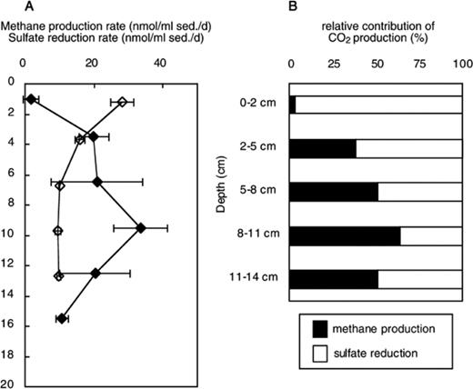 Vertical profiles of methane production rate (closed diamond) and sulfate reduction rate (open diamond) (A), and relative proportion of CO2 production by methane production and sulfate reduction in the profundal sediment of Lake Biwa. Methane production rates and sulfate reduction rates were derived from three measurements. The bars represent standard deviation.