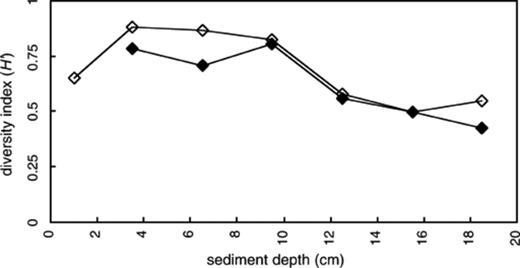 Vertical changes of Shannon–Weaver index of diversity (H′) based on the number and relative intensities of the bands identified by DGGE analysis of PCR-amplified 16S rDNA (closed diamond) and reversely transcribed 16S rRNA (open diamond).