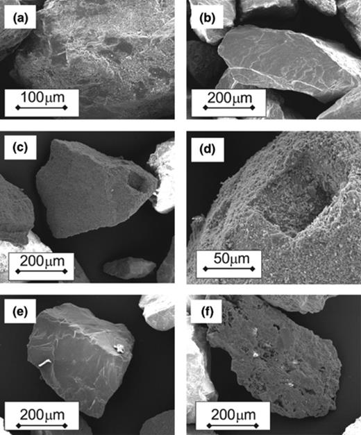 Scanning electron microscope photographs of investigated granular media. (a) Fresh Kappelen Sands showing fine-grained material on smooth grain surface. (b) Granitic sand; note smooth grain surface. (c) Calcite Sand; note pit on right hand side of the grain. (d) Detail of the pit on Calcite Sand grain in (c) showing fine-grained sized material on surface. (e) Sand grain from Acid-digested Kappelen Sands. (f) Corroded sand grain from Acid-digested Kappelen Sands; such grains were not observed in undigested sands.