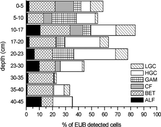 Vertical profile of probe-specific counts relative to EUB-counts (percentages) in the Typic Historthel. Probe names are abbreviations of those shown in Table 3.