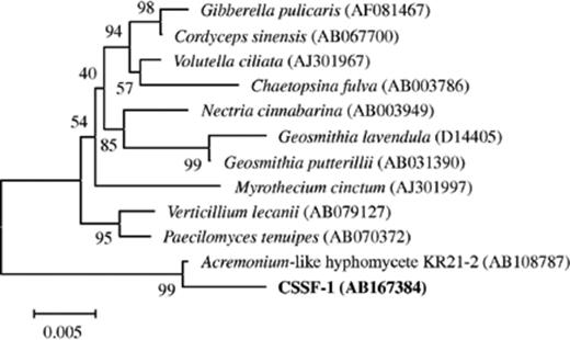 Neighbor-joining phylogenetic tree based on fungal 18S rDNA sequence. The numbers at nodes represent bootstrap values resampled 1000 times.