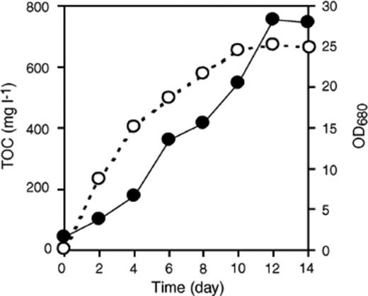 Growth of C. sorokiniana and EOC production. A pure culture of C. sorokiniana was grown under autotrophic conditions for 14 days. Growth of C. sorokiniana (OD680, ●) and total organic carbon (O) were measured daily, and reached plateaus by the 12th day.