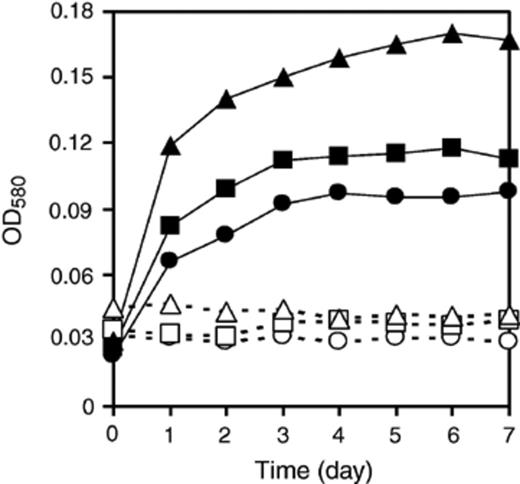 Growth of symbiotic bacteria on EOC. All three bacteria are able to use the C. sorokiniana EOC for growth. Open symbols (O, δ, ◻) are control cultures without EOC, closed symbols (●, Δ, ◻) are with EOC. CSSB-1 (O, ●), CSSB-2 (δ, Δ), and CSSB-3 (◻, ◻).