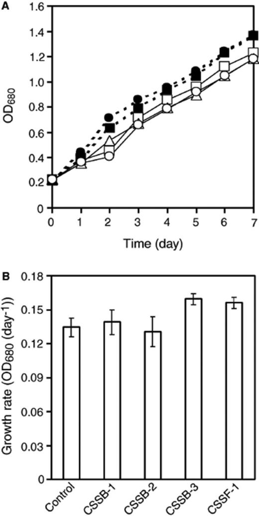 Growth of C. sorokiniana in mixed culture with symbionts (panel A) and growth rate at day 7 (panel B). Control culture (no symbionts) (O), with CSSB-1 (◻), with CSSB-2 (δ), with CSSB-3 (●) and, with CSSF-1 (◻). Error bars in panel B are ±SD (n= 5).