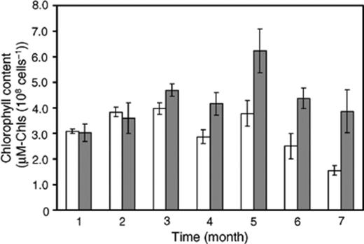 Time course of chlorophyll contents from consortium (gray bars) and pure strain of C. sorokiniana (white bars). Error bars are ±SD (n= 3).