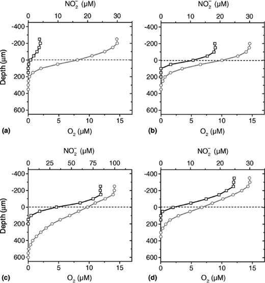 Profiles of O2 (◻) and NO−2 (○) in large type aggregates from the CANON reactor shown at 4 different experimental conditions: (a) low O2; (b) high O2; (c) high NO−2; (d) low flow. The aggregate surface is represented as depth = 0.