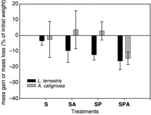 Evolution of the biomass of two earthworm species Lumbricus terrestris and Aporrectodea caliginosa in the soil microcosms treated with Atrazine (SA), inoculated with Pseudomonas sp. ADP, inoculated with Pseudomonas sp. ADP and treated with Atrazine (SPA) and control (S) after 10 days of incubation. Bar indicates standard deviation (n=3).