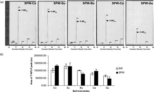 (a) T-RFLP fingerprints of 16S rRNA gene products amplified from soil samples not treated with Atrazine but inoculated with earthworms and with Pseudomonas sp. ADP (SPW). The arrow indicates the terminal restriction fragment (T-RF) of 80 bp observed for Pseudomonas sp. ADP. (b) Analysis of the surface area of the 80 bp T-RF (corresponding to that of Pseudomonas sp. ADP) from soil samples inoculated with earthworms not treated with Atrazine and either inoculated (SPW) or not inoculated with Pseudomonas sp. ADP (SW). The microsites sampled were control soil (Co), surrounding soil (Su), burrow linings (Bu) casts (Ca) and Gut contents (Gu). Bar indicates standard deviation (n=3).