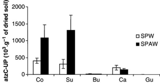 5′-upstream atzC sequence quantities (103 copies per gram of dried soil) determined in soil samples inoculated with earthworms and with Pseudomonas sp. ADP and either treated or not treated with Atrazine (SPW/SPAW). The microsites sampled were control soil (Co), surrounding soil (Su), burrow linings (Bu), casts (Ca) and gut contents. Bars indicate standard deviations.
