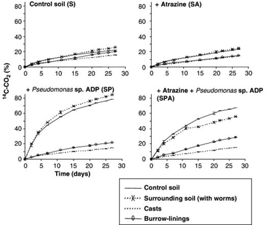 Kinetics of Atrazine mineralization during the 28 days of incubation (expressed as% of initially applied Atrazine) from control soil (panel S), soil treated with Atrazine (panel SA), soil inoculated with Pseudomonas sp. ADP (panel SP) or inoculated with Pseudomonas sp. ADP and treated with Atrazine (panel SPA), The microsites sampled were control soil (Co), surrounding soil (Su), burrow linings (Bu) and casts (Ca). Bar indicates standard deviation (n=3).