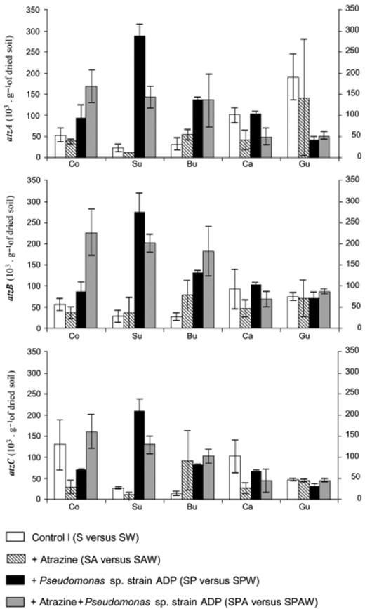 atzA, B and C sequence quantities (103 copies per gram of dried soil) determined in soil samples not treated with Atrazine and inoculated or not with earthworms (S/SW), treated with Atrazine (SA/SAW), inoculated with Pseudomonas sp. ADP (SP/SPW) or treated with Atrazine and inoculated with Pseudomonas sp. ADP (SPA/SPAW). The microsites sampled were control soil (Co), surrounding soil (Su), burrow linings (Bu), casts (Ca) and gut contents. Bars indicate standard deviations.