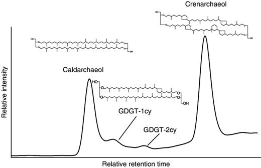 High-performance liquid base peak chromatogram of archaeal tetraether lipids detected in the Sagami Bay samples. GDGT-1cy and GDGT-2cy are glyceryl dialkyl glyceryl tetraether with one and two cyclopentane rings, respectively.