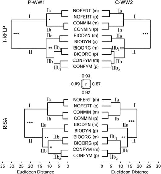 Cluster analysis based on Euclidean distances of bacterial terminal restriction fragment length polymorphism (T-RFLP) and ribosomal intergenic spacer analysis (RISA) data for two stages in the crop rotation of the DOK long-term field experiment, i.e. winter wheat 1 after potato (P-WW1) and winter wheat 2 after corn (C-WW2). Asterisks at nodes indicate significant branchings as determined with Monte Carlo permutation testing performed on the four independent replicates (***P<0.001; **P<0.01; *P<0.05). Labels on specific branches refer to information specified in the text. Euclidean distance matrix correlation was determined with Mantel test statistics and are indicated for comparison of the two stages in the crop rotation (P-WW1 and C-WW2) within the same profiling methods (horizontal arrows) and for comparison of different profiling methods within the same crop rotation (vertical arrows). BIODYN: biodynamic; BIOORG: bio-organic; CONFYM: conventional; NOFERT: unfertilized; CONMIN: minerally fertilized (see Table 1); (m): arithmetic mean of all four field replicates; (p): pooled DNA sample of all four field replicates.