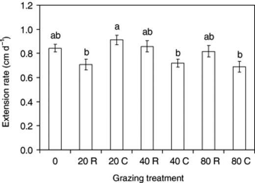 Extension rate of Phanerochaete velutina mycelium subject to different grazing intensity (0, 20, 40, 80 collembola per tray). Grazing was for only 2 days in half of the treatments (indicated by R) or continued (indicated by C) for the duration of the experiment (12 days). Error bars are the standard error of the mean. Bars with the same letter are not significantly (P>0.05) different.