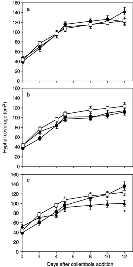 Change in Phanerochaete velutina hyphal coverage with time in mycelial systems grazed by 20 (a), 40 (b) or 80 (c) collembola compared with ungrazed systems. ◻ ungrazed; ▲ continuously grazed; ● grazed for 2 days then grazing ceased. Repeated measures anova revealed a significant (F36,378=2.871, P<0.001) time × treatment interaction, but no overall treatment effect (i.e. irrespective of time) (F6,63=1.897, P=0.095). *Significant difference (P=0.002) between continuously grazed and grazed for 2 days.