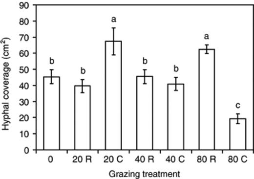 Hyphal coverage of Phanerochaete velutina mycelium subject to different grazing intensity (0, 20, 40, 80 collembola per tray) in the zone that developed after grazing (see Fig. 1). Grazing was for only 2 days in half of the treatments (indicated by R) or continued (indicated by C) for 12 days until the end of the experiment. Error bars are the standard error of the mean. Bars with the same letter are not significantly (P>0.05) different.