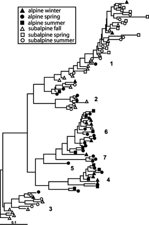 Maximum likelihood tree of Acidobacteria from alpine and subalpine clone libraries. Numbered subgroups follow Ludwig et al. (1997).
