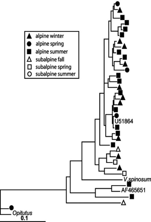Maximum likelihood tree of Verrucomicrobia 16S rRNA gene sequences from alpine and subalpine clone libraries.