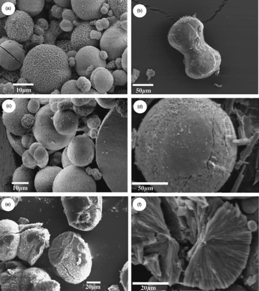 Morphology of carbonate crystals as observed by scanning electron microscopy (SEM): (a) overview showing a mixture of morphologies; (b) dumbbell-shaped crystal; (c) smooth-faced spherical crystal; (d) rough-faced spherical crystal; (e) spherical crystal with fibrous internal structures; and (f) broken spherical crystal showing fibrous and cracked interior.