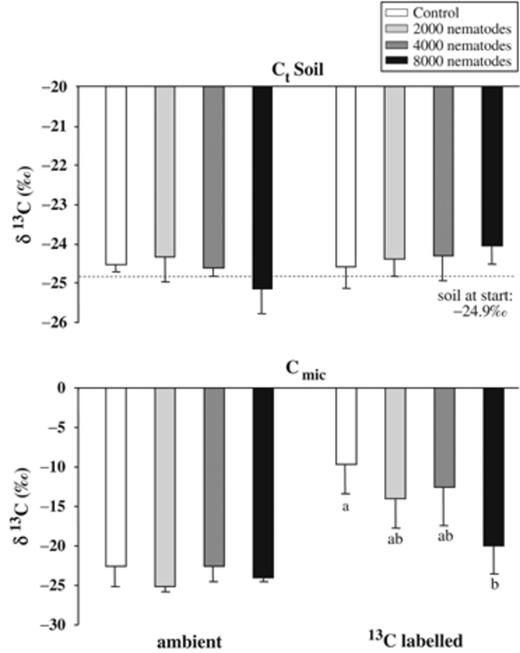 δ13C values (‰±SD) of soil carbon (Ct) and microbial biomass (Cmic) in pots with barley plants kept at ambient conditions or labelled with 13C. Pulse-labelling took place 19 days after inoculation of 0 (control), 2000, 4000, and 8000 Meloidogyne incognita and soil was harvested after a chase period of 3 days. Means with the same or no letters are not significantly different from Tukey's HSD (P<0.05).