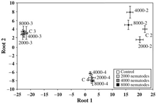 Discriminant functional analysis (DFA) of PLFAs obtained from the rhizosphere soil of barley plants without (control) or inoculated with 2000, 4000, and 8000 Meloidogyne incognita after 2, 3, and 4 weeks. In the model, PLFAs represent the variables (n=17) and time × nematode density (n=12) represents the groups. The scatter plot shows group centroids±SD for roots 1 and 2.