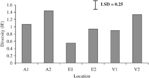Diversity (H′) of bacterial communities present in ticks from three different habitats in the Netherlands. A, Amsterdam water supply dunes; E, Ede deSysselt; V, Veldhoven Hoogeind; 1, 2 different locations within each area. LSD=0.25; P<0.001.