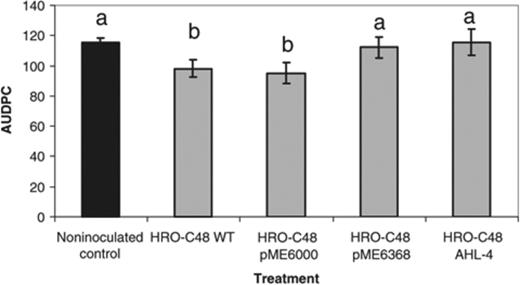 Effect of Serratia plymuthica HRO-C48 WT and its mutants on the development of Verticillium wilt in oilseed rape expressed by AUDPC in comparison with the noninoculated control. Seeds treated with S. plymuthica HRO-C48 cells at concentrations of log10 6.0 using biopriming were grown in Verticillium dahliae-infested soil (50–60 microsclerotia g−1soil) for 9 weeks under greenhouse conditions. Values represent the average of two independent experiments each consisting of 16 plants. The same letters above the bars symbolize no significant differences according to Fisher's protected LSD (P≤0.05). Error bars indicate SDs.