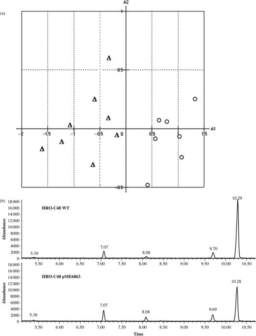 (a) PCA of volatile patterns deduced from GC profiles of headspace volatiles emitted by Serratia plymuthica HRO-C48 WT (Δ) and HRO-C48 pME6863 (+). Bacteria were cultivated for 24 h on nutrient agar prior enrichment and sampling of VOCs. (b) Representative GC profiles of VOCs emitted by S. plymuthica HRO-C48 WT and HRO-C48 pME6863. MS analysis and subsequent database search of dominant peaks resulted in the identification of the following compounds: 2-butanone (retention time: 5.38–5.39), 3-methylbutanal (retention time: 7.07), 2-pentanone (retention time: 8.08), 3-methyl-1-butanol (retention time: 9.69–9.70), dimethyl-disulphide (retention time: 10.28–10.29).