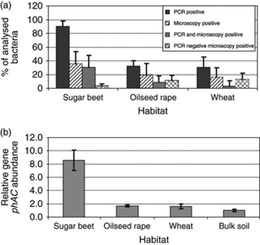 (a) Proportion of polyhydroxyalkanoate-producing bacteria isolated from the rhizosphere of sugar beet, oilseed rape and wheat (Field trial 1). They were screened for their capacity to form polyhydroxyalkanoates using PCR and microscopic methods. Error bars represent confidence intervals at P≤0.05. (b) Relative number of phaC gene copies in the rhizosphere of sugar beet, oilseed rape and wheat in comparison with bulk soil (relative copy number=1) from Field trial 1 determined by qRT-PCR from total genomic DNA. Error bars represent confidence intervals at P≤0.05.