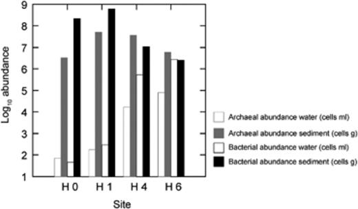 Relative abundance of Bacteria and Archaea in Salar de Huasco at the sampling sites, determined by qPCR.