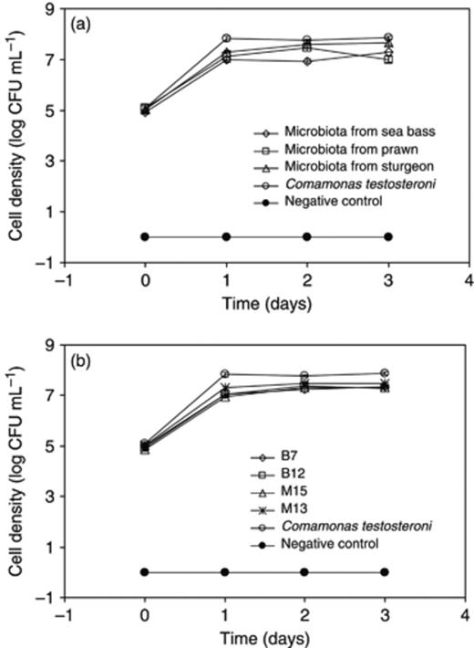 Growth of intestinal microbiota (a) and selected isolates (b) in minimal medium containing PHB as the sole C source. Noninoculated medium was used as a control. The data points represent the mean values of three replicates. Error bars are too small to be visible.