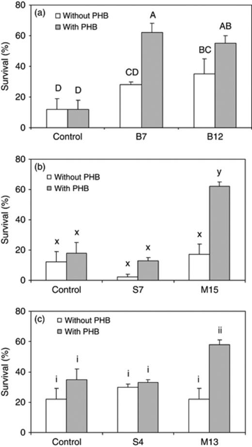 Percentage survival of Artemia nauplii after a 48-h challenge with Vibrio campbellii LMG 21363 (mean±SE of three replicates). The three different panels represent different challenge tests (performed at different times). The challenged nauplii were either untreated (control) or treated with a PHB-degrading isolate, with or without 100 mg L−1 PHB. Within each panel, treatments with a different letter are significantly different (P<0.05).
