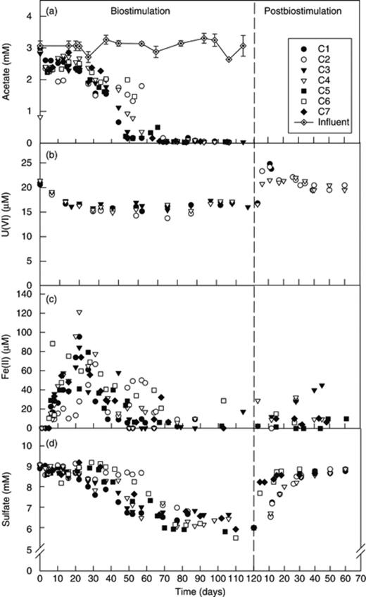 Geochemical changes in flow-through columns' effluent groundwater. Acetate (a), uranium (b), iron (c), and sulfate (d).