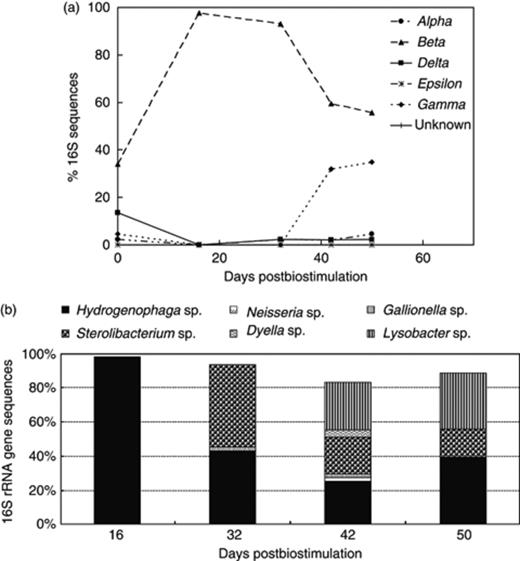(a) 16S rRNA gene-based groundwater microbial community dynamics within the phylum Proteobacteria and (b) distribution of Betaproteobacteria and Gammaproteobacteria in the effluent groundwater throughout the postbiostimulation monitoring.