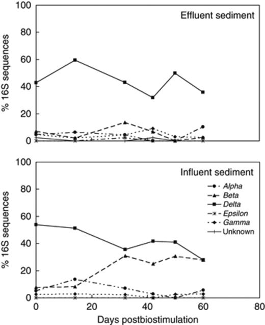 16S rRNA gene-based sediment microbial community dynamics within the phylum Proteobacteria at the effluents and influents of flow-through columns.