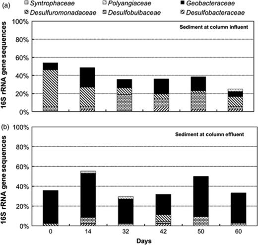 Distribution of Deltaproteobacteria in sediment at the influents and effluents of flow-through columns throughout the postbiostimulation monitoring.